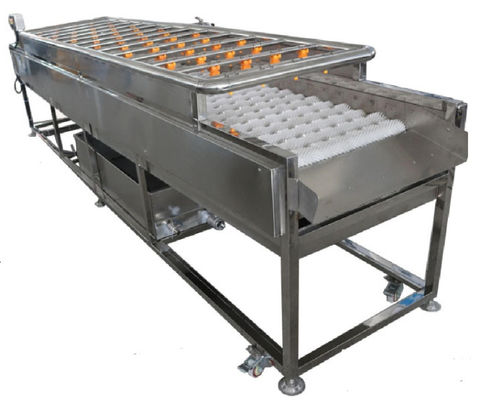 3.35KW Mesin Pengolah Makanan, Mesin Pembersih Semprot 1000kg / jam