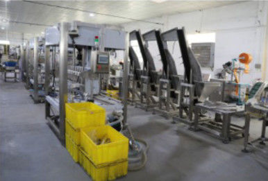 Mesin Pembungkus Botol 20KW, Mesin Pembungkus Penyusutan Otomatis 1.2T